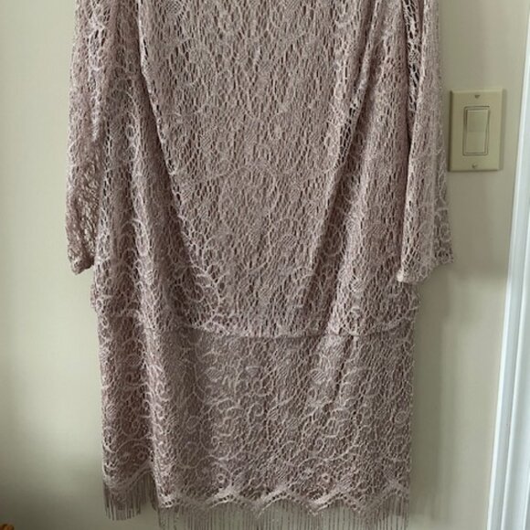 Laura - "Party dress  - taupe/blush colour  - metallic threads -lace- size 18 - Picture 2 of 11